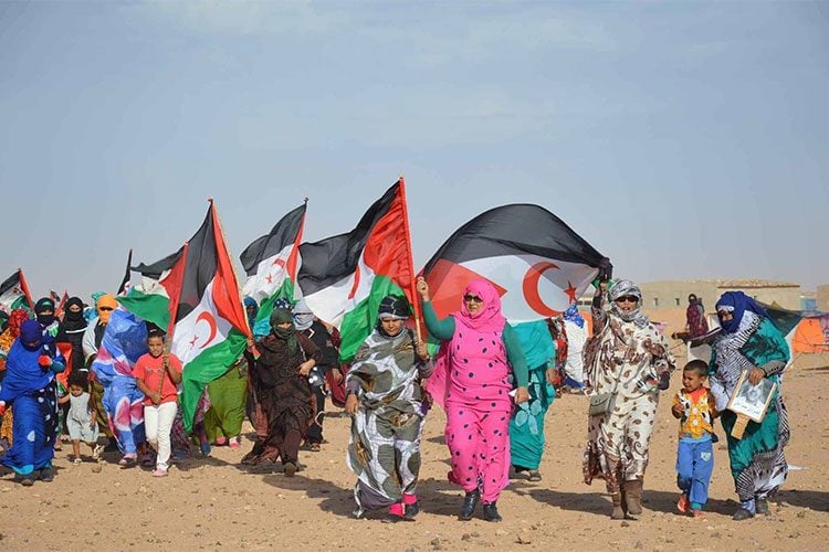اليوم العالمي للسلام وكفاح الشعب الصحراوي