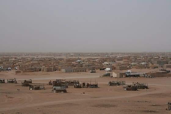 وكالات الأمم المتحدة تطلق خطة إستجابة إنسانية لاحتياجات اللاجئين الصحراويين للفترة 2024-2025